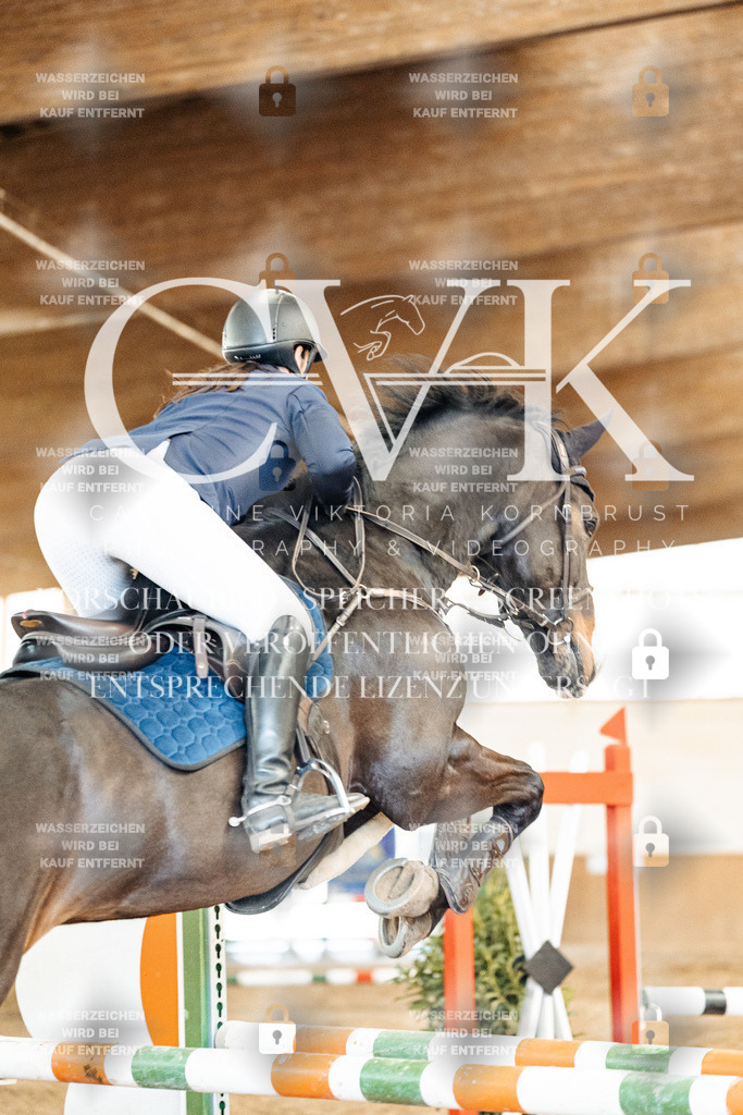 CK905097 | Turnierfotografie Pferdefotografie Trier Rheinland-Pfalz Pferdesport Reitsport Tierfotografie Sportfotografie Pferdevideo Pferdevideografie Equestrianvideography equestrianphotography  - Realisiert mit Pictrs.com