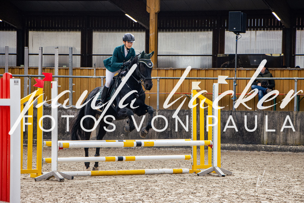 IMG_3544 | Erleben Sie dynamische Sport- und emotionale Tierfotografie in Süddeutschland mit Fotos von Paula. Spezialisiert auf Pferde- und Hundefotografie sowie Sportevents. Kontaktieren Sie mich für einzigartige und ausdrucksstarke Bilder Ihrer besonderen Momente. - Realisiert mit Pictrs.com