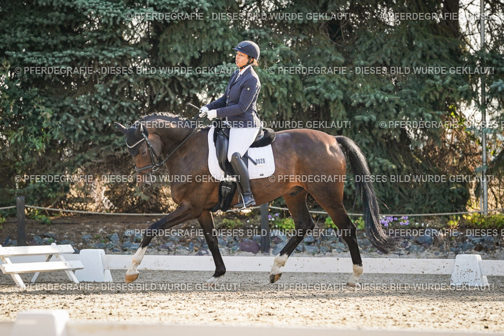 DSC08516 | Pferdegrafie