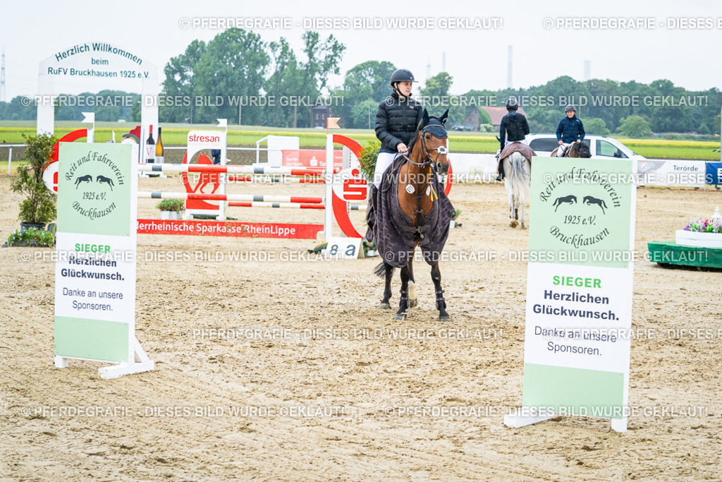 DSC09705 | Pferdegrafie