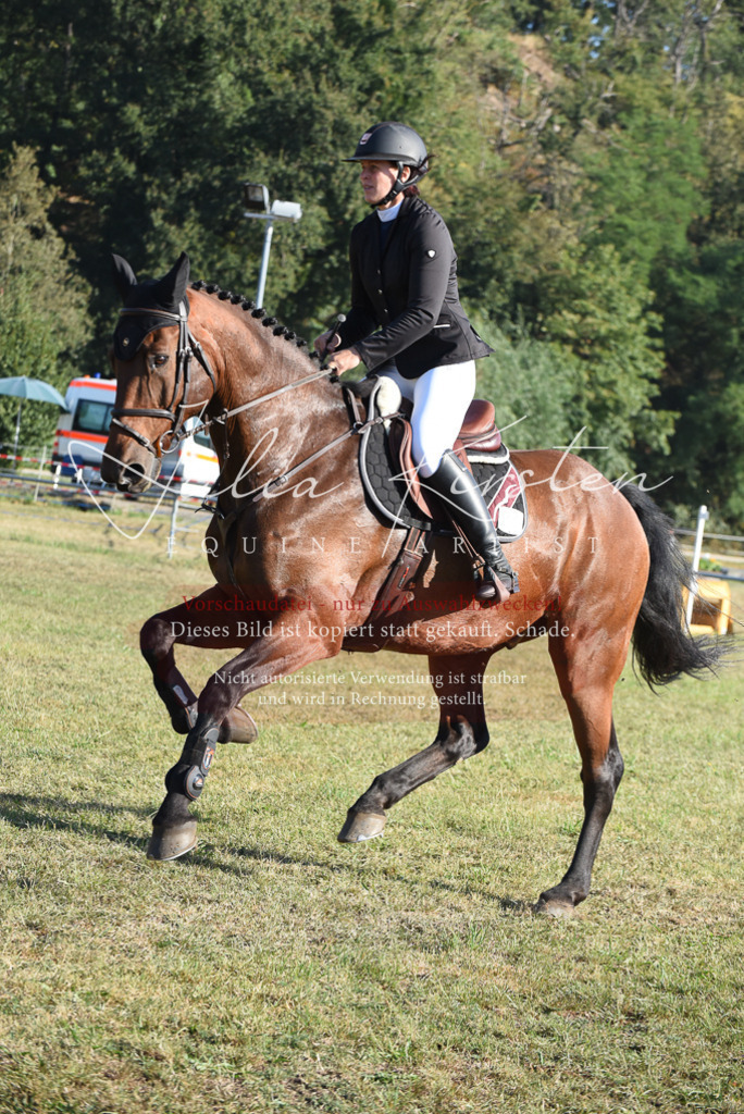 DSC_5198 | Pferde- und Turnierfotografie in Westsachsen. Pferdeportraits, Auftragszeichnungen und intuitive Kunst.