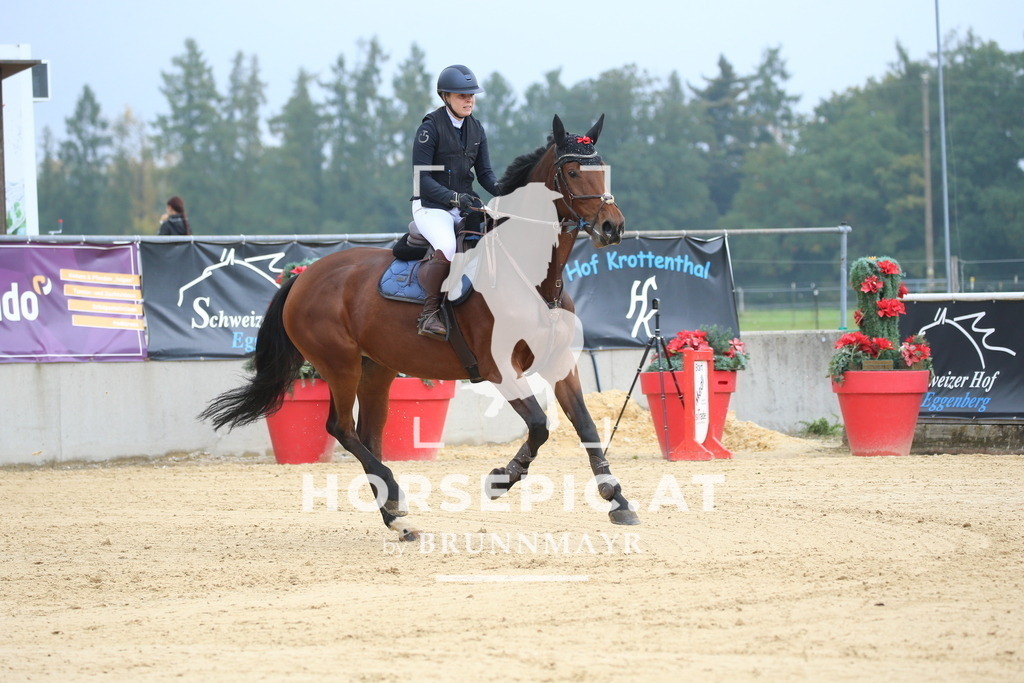 DL2Q0636 | Willkommen bei Brunnmayr - Design & Fotografie – Ihrem Spezialisten für Reitturniere und Pferdeveranstaltungen in Oberösterreich, Salzburg und Bayern! Seit über 17 Jahren sind wir leidenschaftlich dabei.