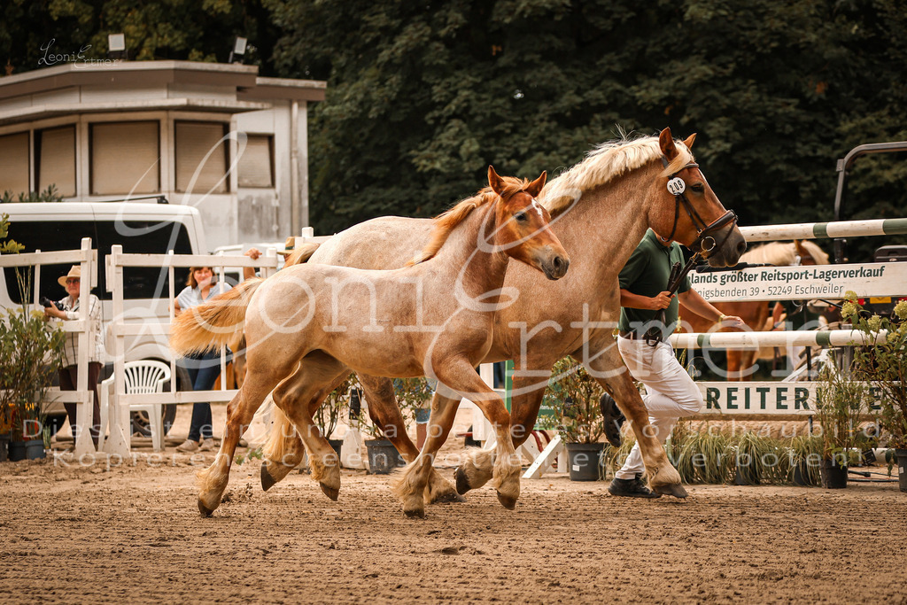 SaSF00089 | Leoni Ertmer Photography - Realisiert mit Pictrs.com