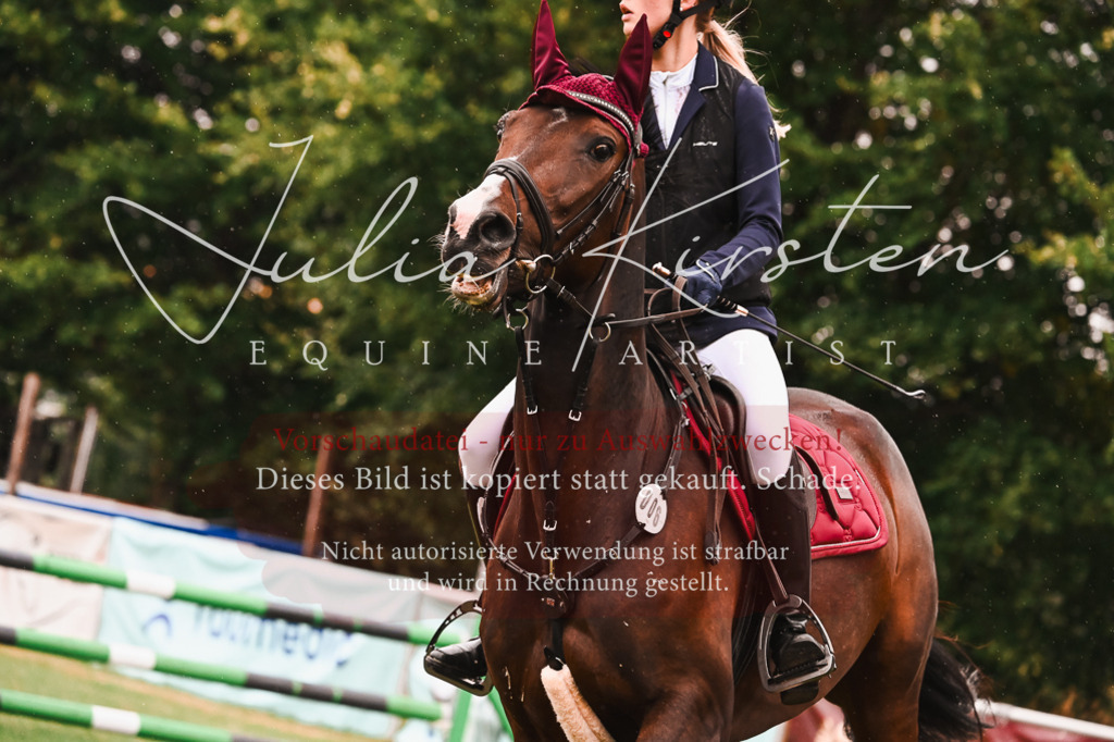 DSC_6539 | Pferde- und Turnierfotografie in Westsachsen. Pferdeportraits, Auftragszeichnungen und intuitive Kunst.