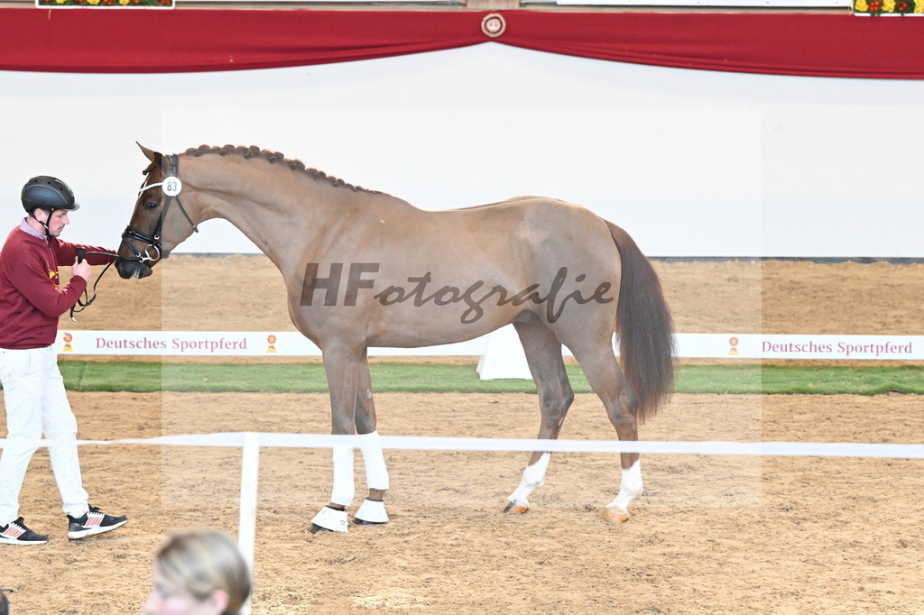 Kat.-Nr. 83 v. Va Bene_Winklmaier_2250885 | hf-fotografie - Realisiert mit Pictrs.com