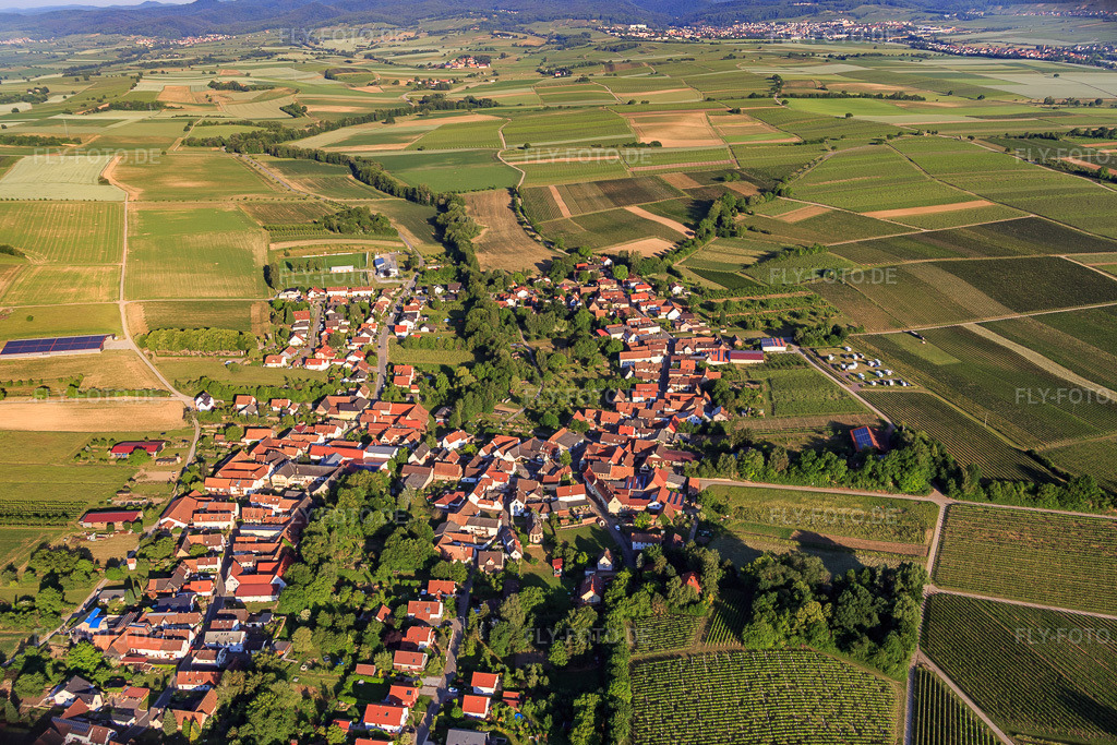 Luftbild: Dorfansicht aus Osten in Dierbach im Bundesland Rheinland-Pfalz in Deutschland. Foto: IMG_079977.jpg vom 05.06.2015 durch Werner Riehm/FLY-FOTO.de