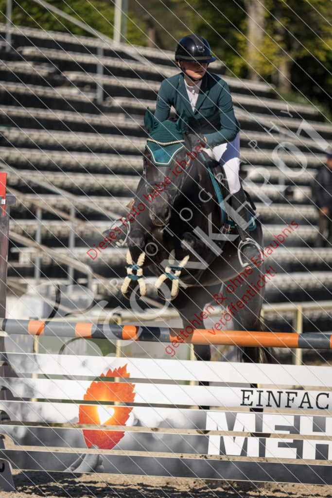 IMG_3101 | Sport-, Event- und Tierfotos in Profiqualität. Einfach auswählen, bestellen und herunterladen. Dein Moment – perfekt festgehalten.