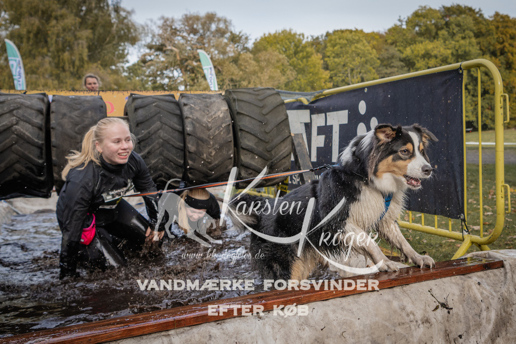 1452_ZZ90549 | kk-dogfotos