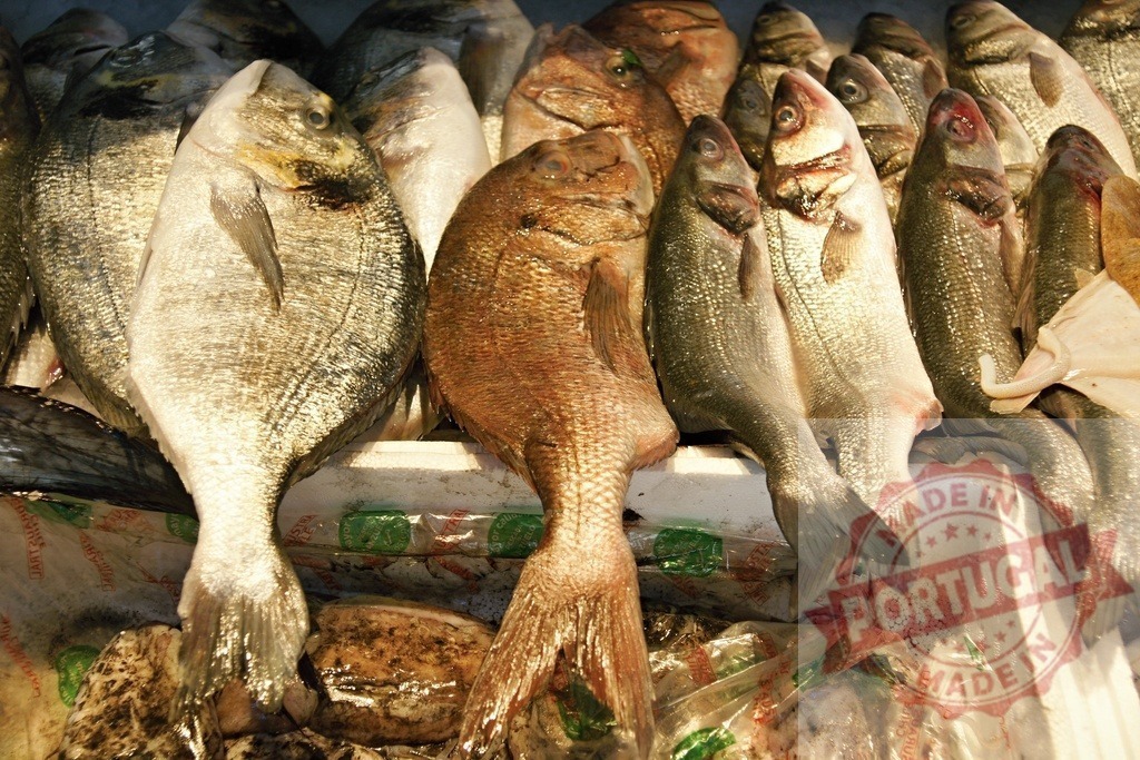 Fresh fish display at a bustling seafood market | Fresh fish, including sea bream and sea bass, displayed at a market counter - Realized with Pictrs.com