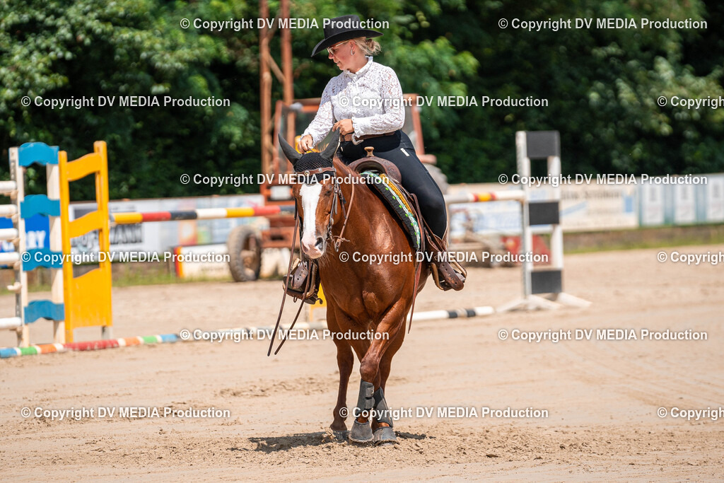 Zeiskam Tag 3-900 | dv-media-shop - Realisiert mit Pictrs.com