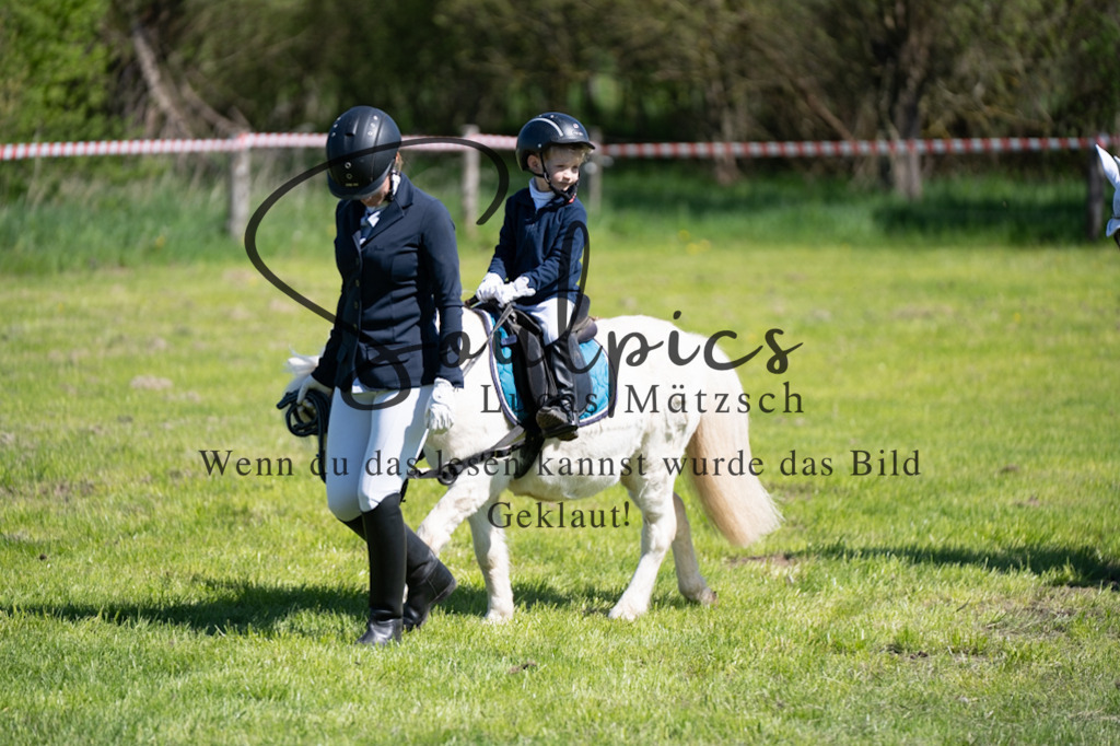 A7V01267 | Pferdefotograf