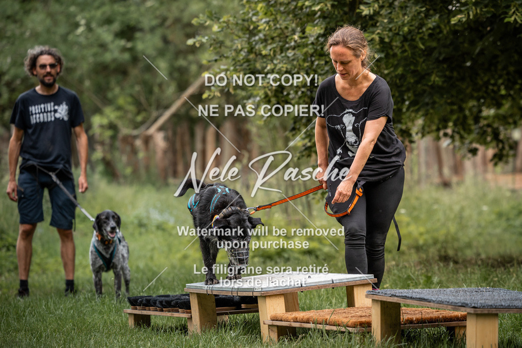 nelerasche_So-funtrail_181 | nelerasche