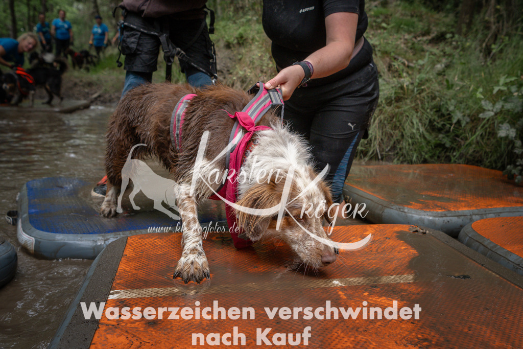 1252_ZZ91344 | kk-dogfotos