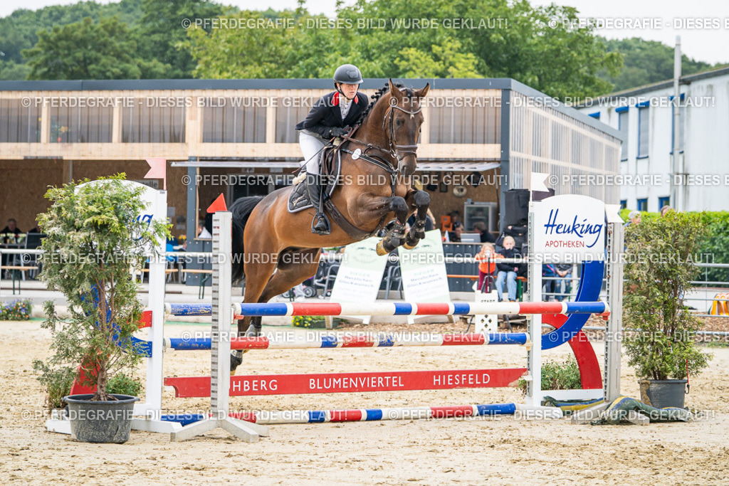 DSC00378 | Pferdegrafie