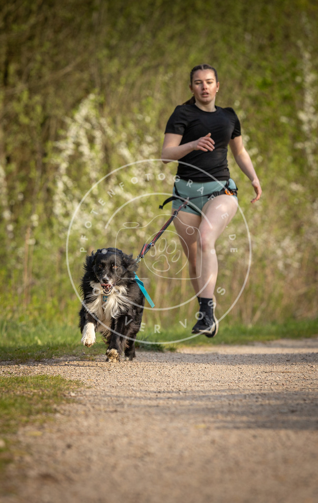 Pfotenfotografie_DV3A4643 | Hundefotografie, Tierfotograf, Pfotenfotografie, Fotoshooting Hund, Hunde Portrait, Hundesport, Hundeportraits, Heideshooting, Hunde, Sportfotograf, Hundefotograf, Turnierhundsport, THS,  - Realisiert mit Pictrs.com