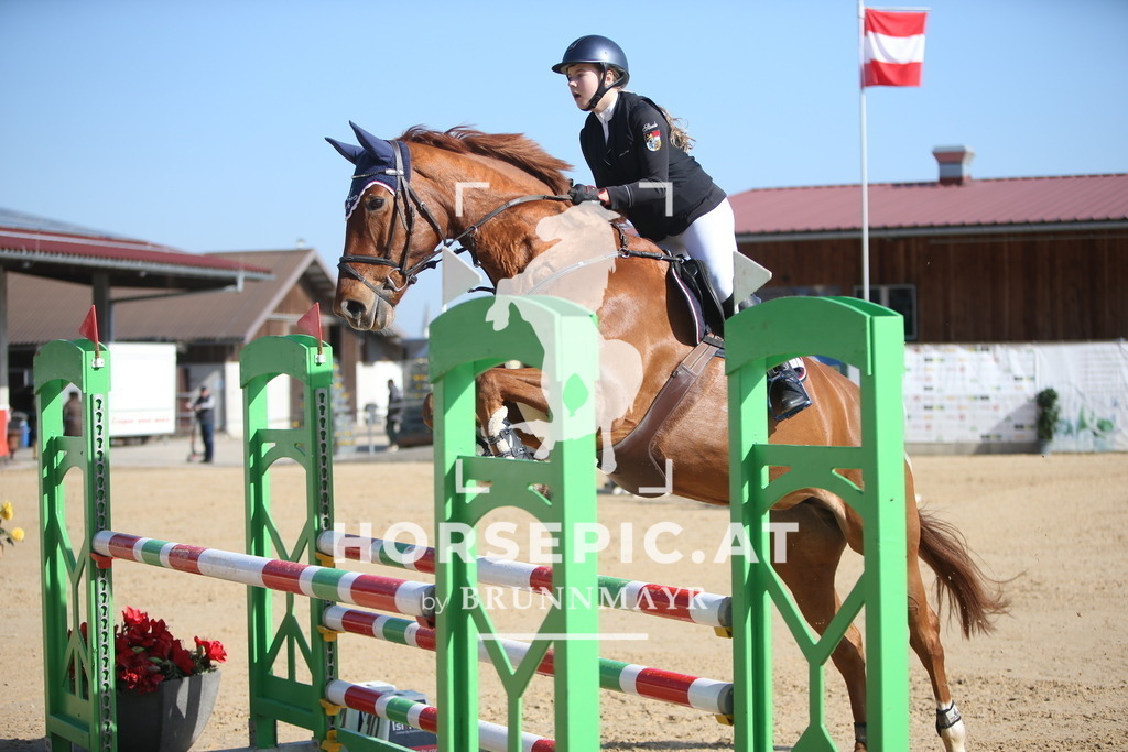 AS8V5640 | Willkommen bei Brunnmayr - Design & Fotografie – Ihrem Spezialisten für Reitturniere und Pferdeveranstaltungen in Oberösterreich, Salzburg und Bayern! Seit über 17 Jahren sind wir leidenschaftlich dabei.