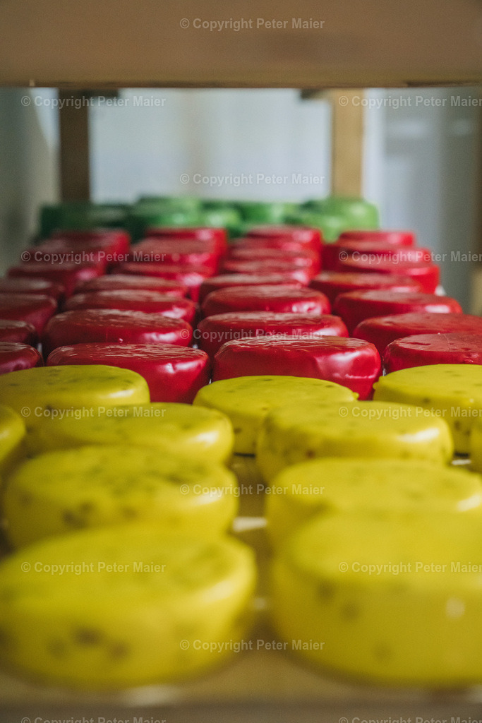 Karnische_Milchstrasse_2024-2566 | piet_flosse