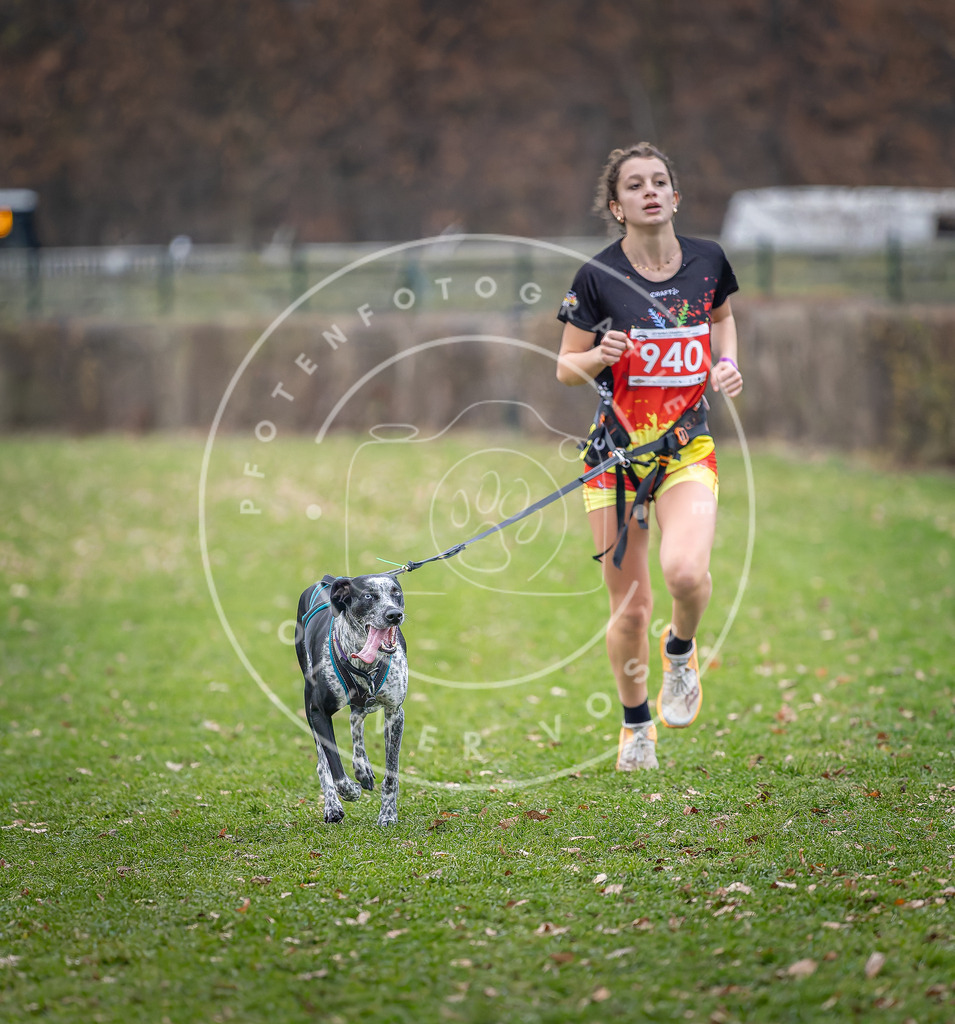 CaniXpix_DV3A7223 | Hundefotografie, Tierfotograf, Pfotenfotografie, Fotoshooting Hund, Hunde Portrait, Hundesport, Hundeportraits, Heideshooting, Hunde, Sportfotograf, Hundefotograf, Turnierhundsport, THS,  - Realisiert mit Pictrs.com