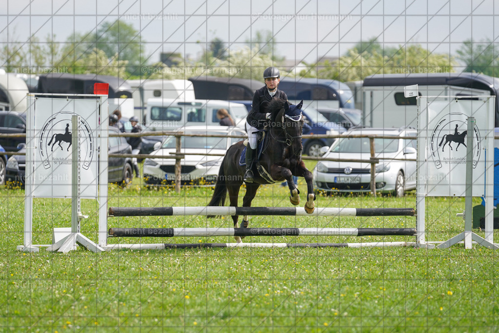 20240509-FAH02239 | Turnierbilder der Turnierfotografen Bayern, Pferdesport Fotografie, Reitsportbilder, Turnier Landberg am Lech, Turnierbilder bayern, Fotoagentur Herrmann