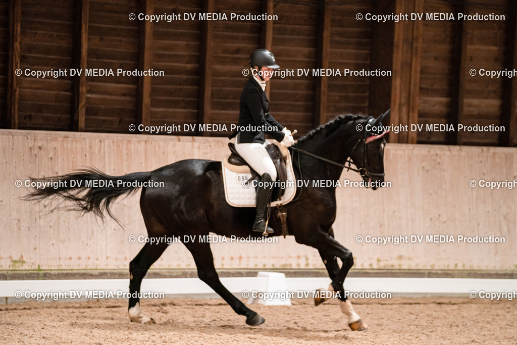 Dressur Tag 1 -377 | dv-media-shop - Realisiert mit Pictrs.com