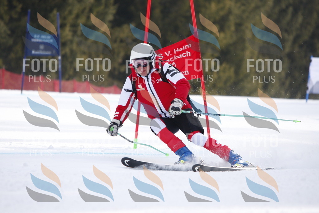 D8438 | holidayphoto