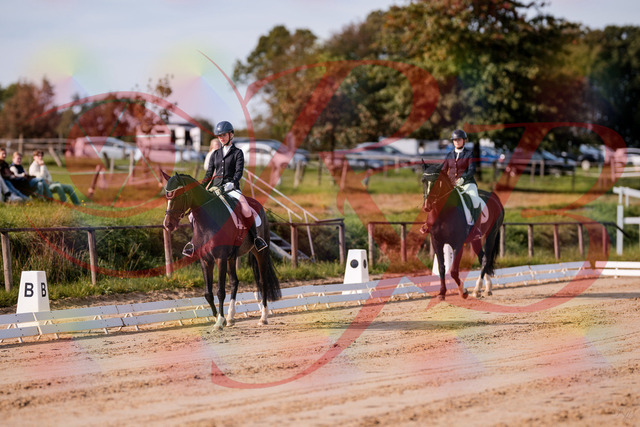 2026_10_03_Siefer-Hof_113232_Z81_78780020 | Professionelle Reitsport-, Turnier- und Eventfotografie von Robert Broda. Galerien mit ausgewählten und bearbeiteten Bildern direkt online ansehen und bestellen.