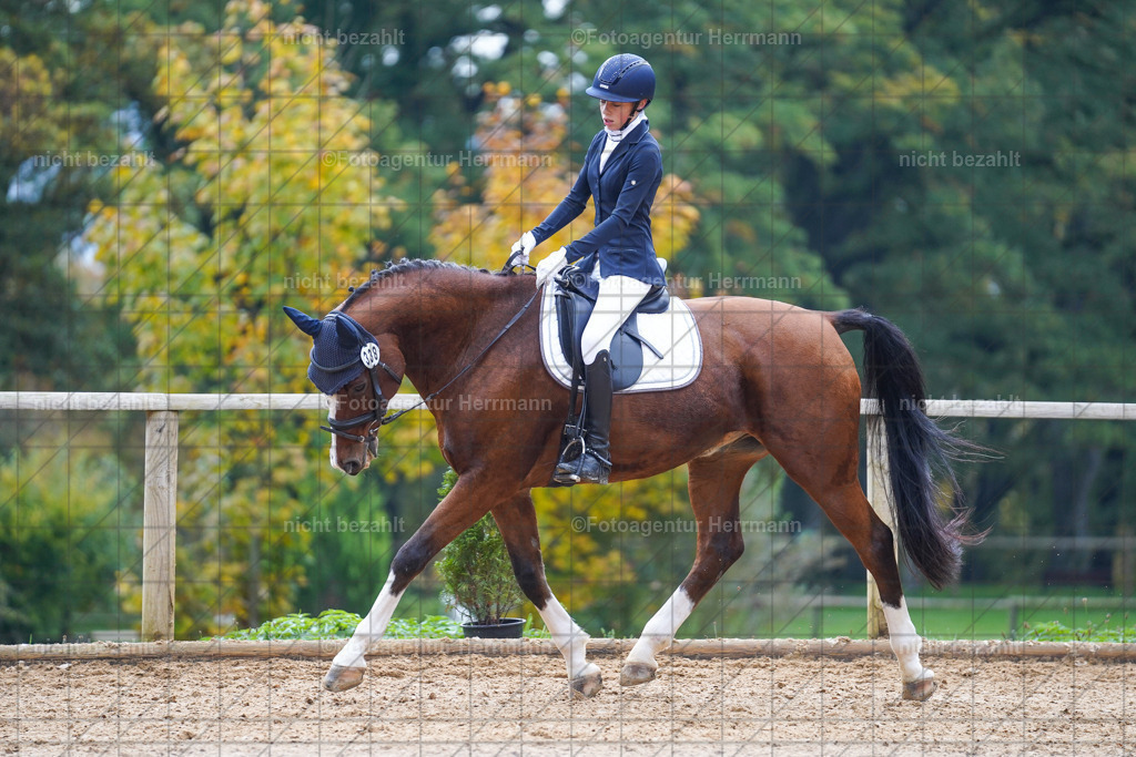 20221008-FAH00899 | Diessen am Ammersee, 2022, Dressur- und Springturnier, Reitsportbilder, Turnierfotografen Bayern, Pferdefotografen, Fotoagentur Herrmann, Turnierbilder