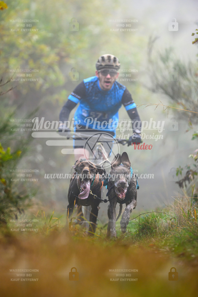 MompixPhotography_20TSB_E4_DS2-8 | PayLife