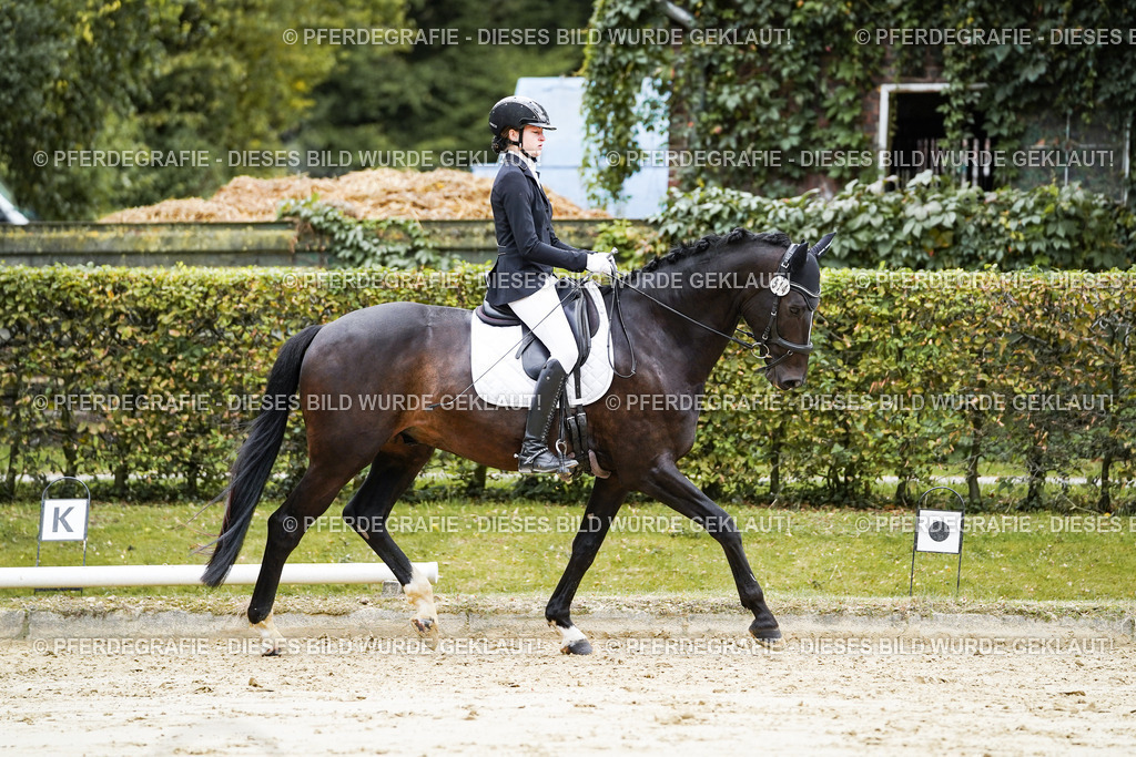 DSC07646 | Pferdegrafie