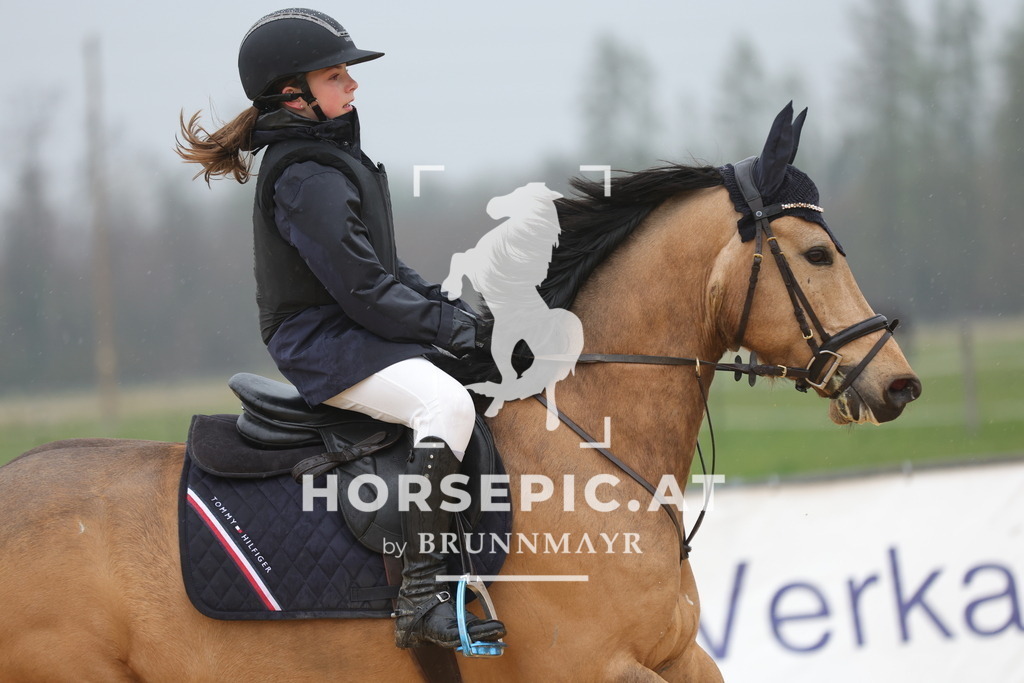 0P6A7296 | Willkommen bei Brunnmayr - Design & Fotografie – Ihrem Spezialisten für Reitturniere und Pferdeveranstaltungen in Oberösterreich, Salzburg und Bayern! Seit über 17 Jahren sind wir leidenschaftlich dabei.