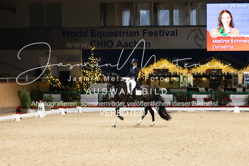 126A8042 | jasminmetznerfotografie