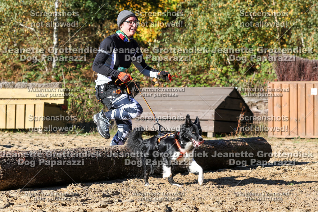 Dog Paparazzi - Strongdog 10-25-1869 | Dog Paparazzi Jeanette Grottendiek Fotografie & Videografie - Realisiert mit Pictrs.com