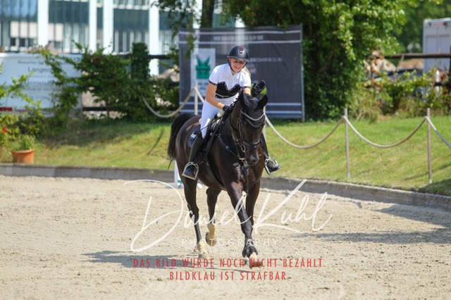 Gut Blee25_Amateuer Stilsprpfg Kl L_0262 | Turniersportfotografie; Pferdefotografie; Dressurfotografie