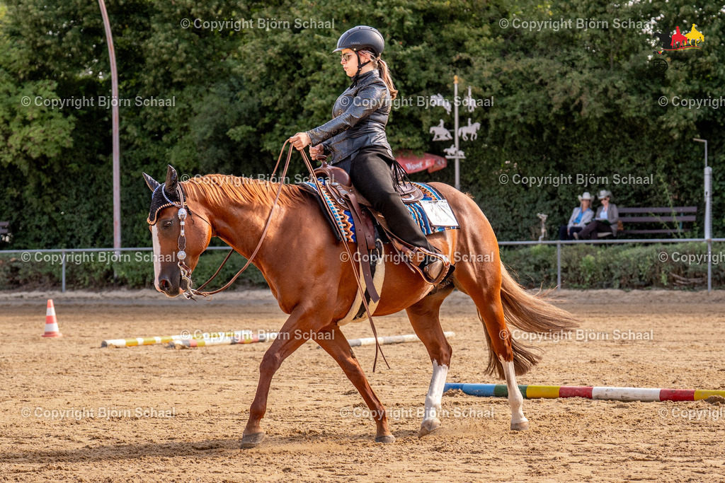 LMS07861 | BS-foto
