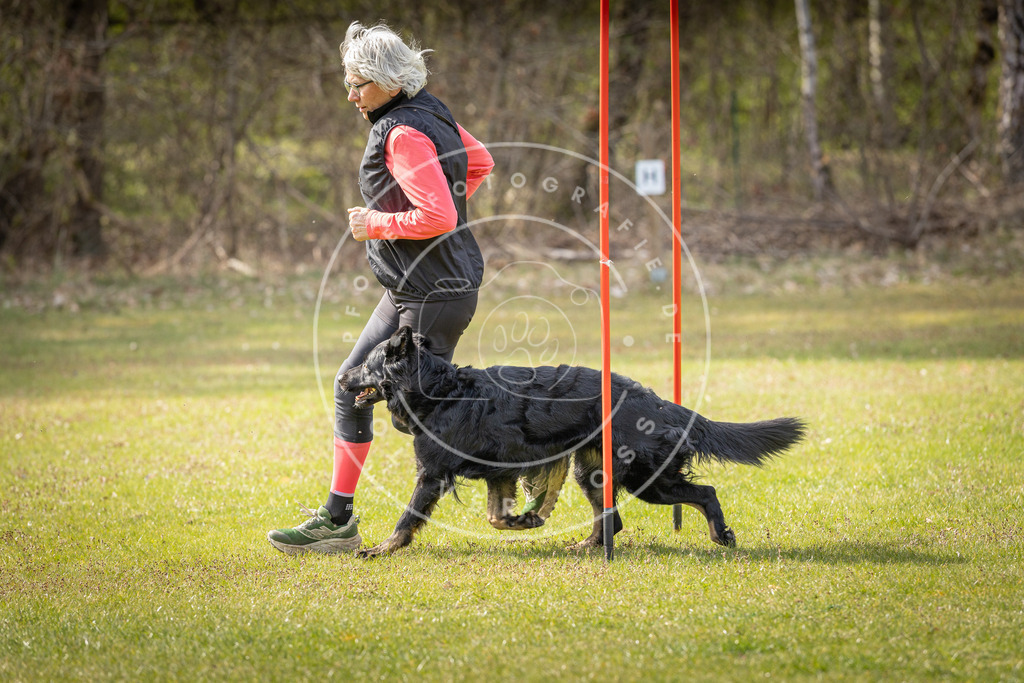 Pfotenfotografie_DV3A9621 | Hundefotografie, Tierfotograf, Pfotenfotografie, Fotoshooting Hund, Hunde Portrait, Hundesport, Hundeportraits, Heideshooting, Hunde, Sportfotograf, Hundefotograf, Turnierhundsport, THS,  - Realisiert mit Pictrs.com