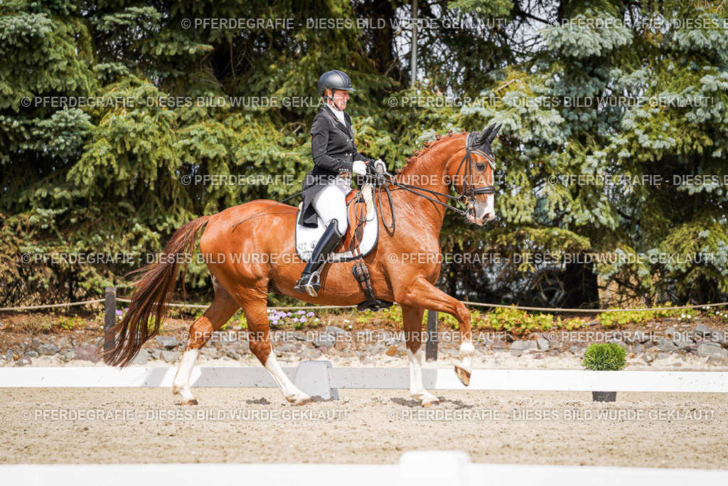 DSC06405 | Pferdegrafie