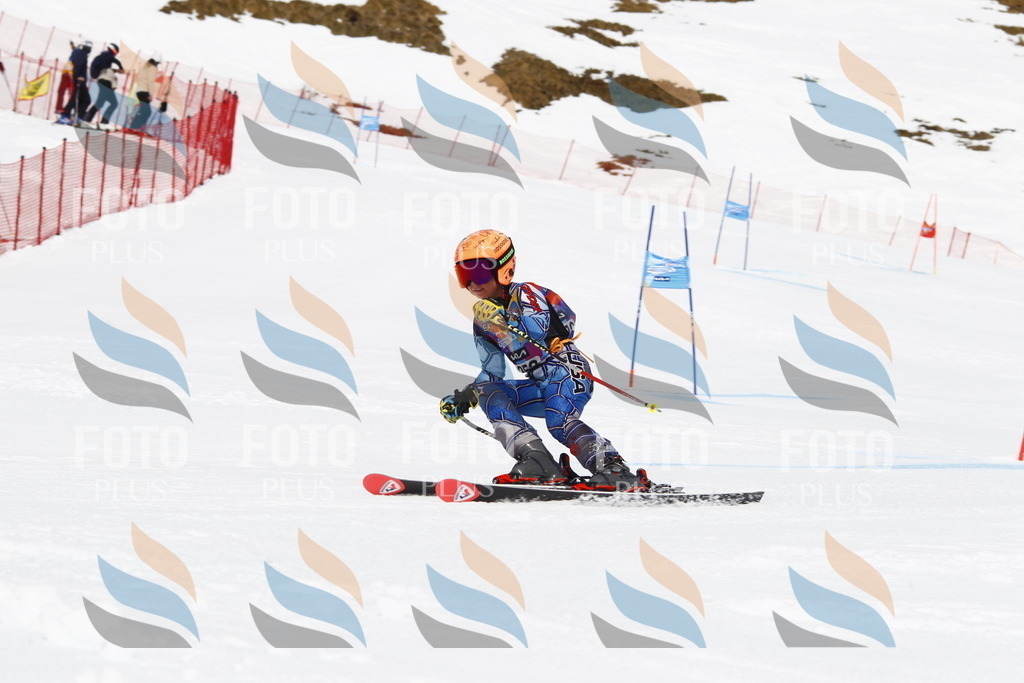 _U3G6371 | holidayphoto