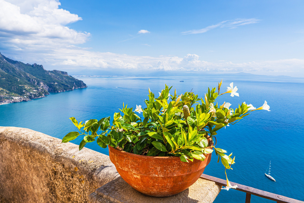 Blumentopf in Ravello an der Amalfiküste in Italien | Blumentopf in Ravello an der Amalfiküste in Italien.