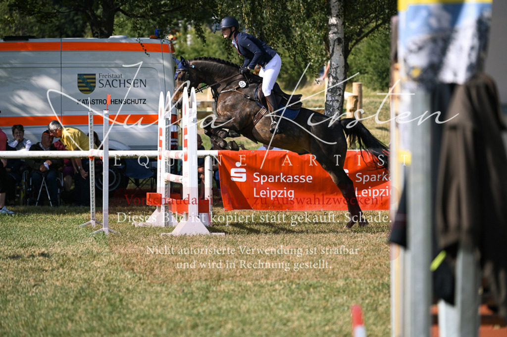 DSC_1422 | Pferde- und Turnierfotografie in Westsachsen. Pferdeportraits, Auftragszeichnungen und intuitive Kunst.
