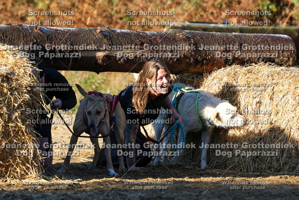 Dog Paparazzi - Strongdog 10-25-827 | Dog Paparazzi Jeanette Grottendiek Fotografie & Videografie - Realisiert mit Pictrs.com