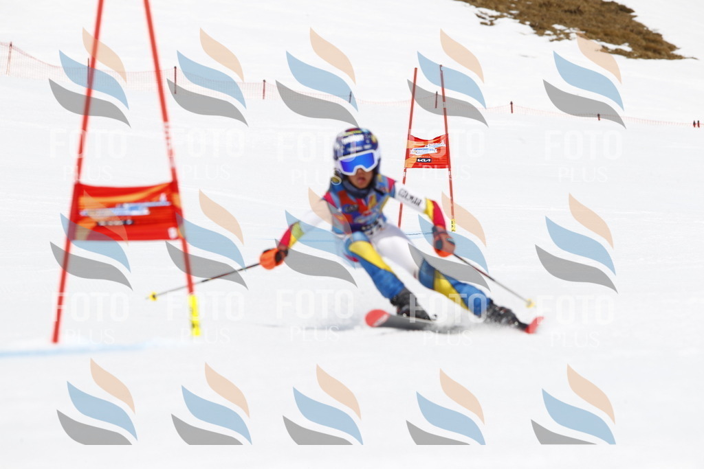 _U3G6653 | holidayphoto