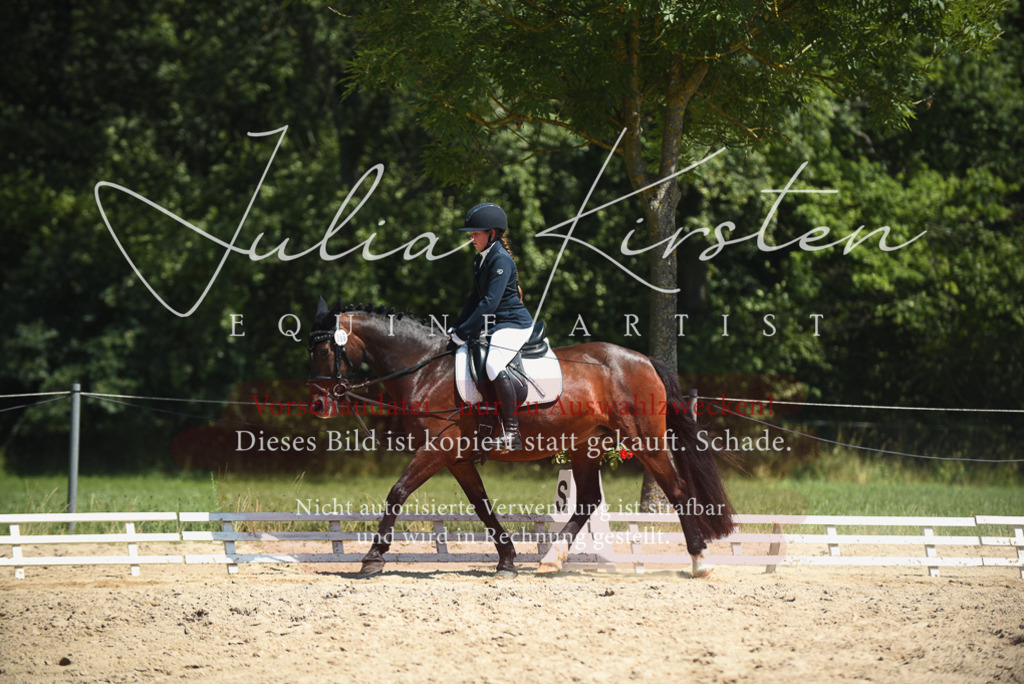 DSC_2166 | Pferde- und Turnierfotografie in Westsachsen. Pferdeportraits, Auftragszeichnungen und intuitive Kunst.
