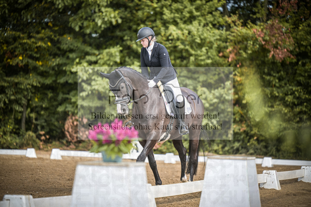 DOS_0141 | Entdecke hochwertige Reitturnierfotos von Foto Oger. Professionell, emotional und authentisch – jetzt Lieblingsmomente im Shop bestellen.Deutschlandweite Turnierfotografie. - Realisiert mit Pictrs.com