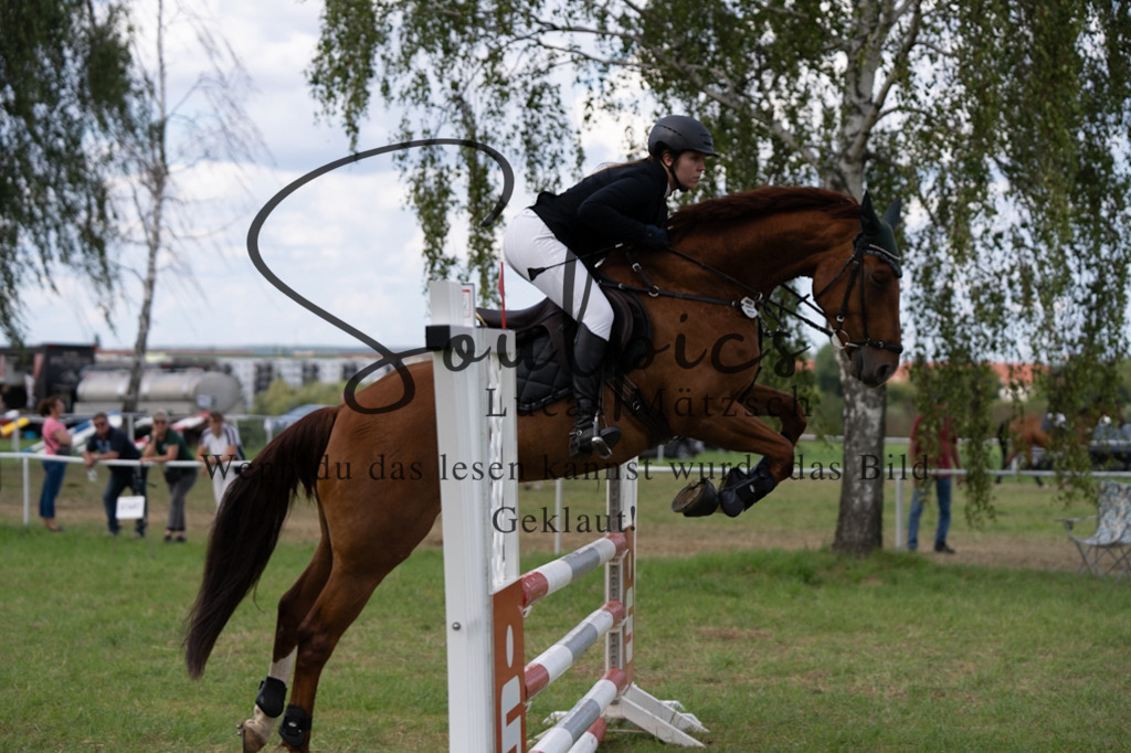 A7V04834 | Turnier/Reitfotograf