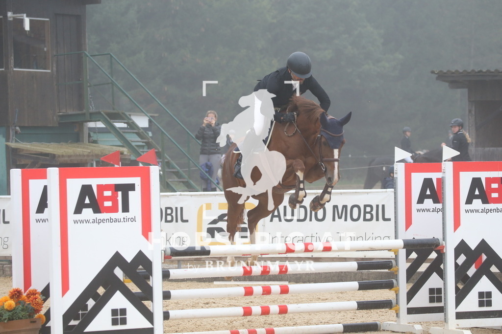 DL2Q2978 | Willkommen bei Brunnmayr - Design & Fotografie – Ihrem Spezialisten für Reitturniere und Pferdeveranstaltungen in Oberösterreich, Salzburg und Bayern! Seit über 17 Jahren sind wir leidenschaftlich dabei.