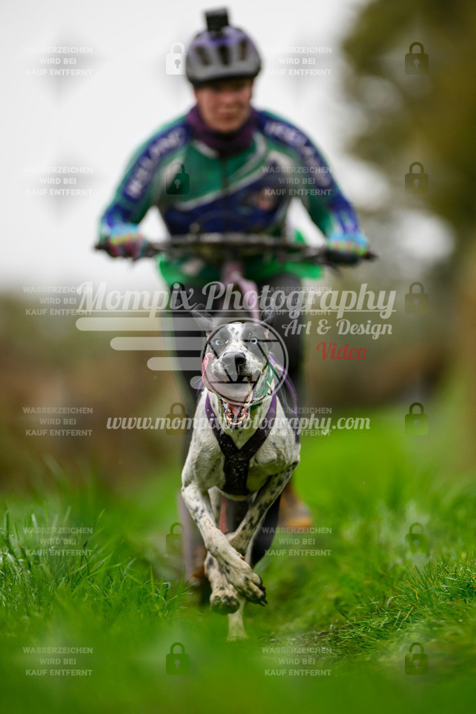 MompixPhotography_20TSB_E8_DS1-68 | PayLife