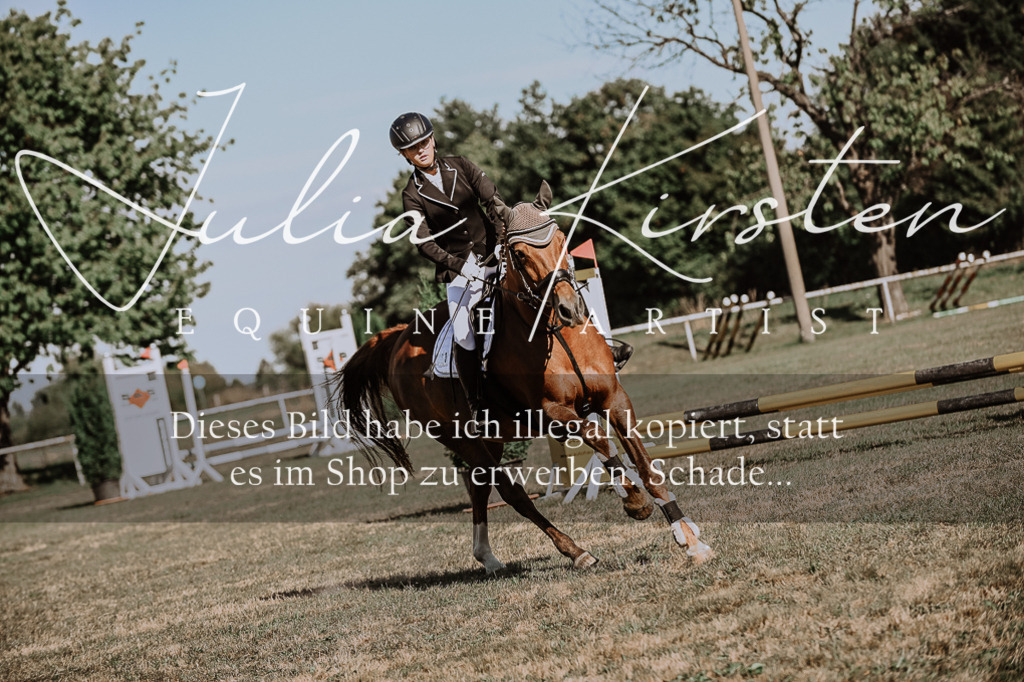DSC_9371 | Pferde- und Turnierfotografie in Westsachsen. Pferdeportraits, Auftragszeichnungen und intuitive Kunst.
