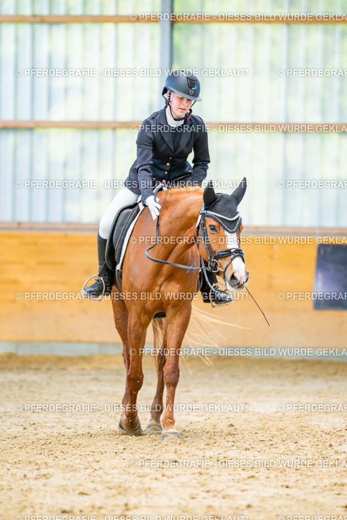 DSC07108 | Pferdegrafie