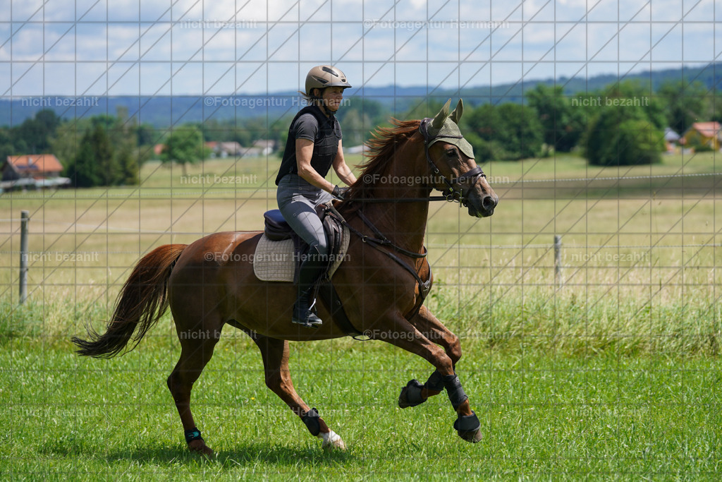 20240622-FAH06939 | Turnierfotografen Bayern, Reitsportbilder aus dem Geländekurs mit Felix Etzel auf dem Gut Waitzacker 2024