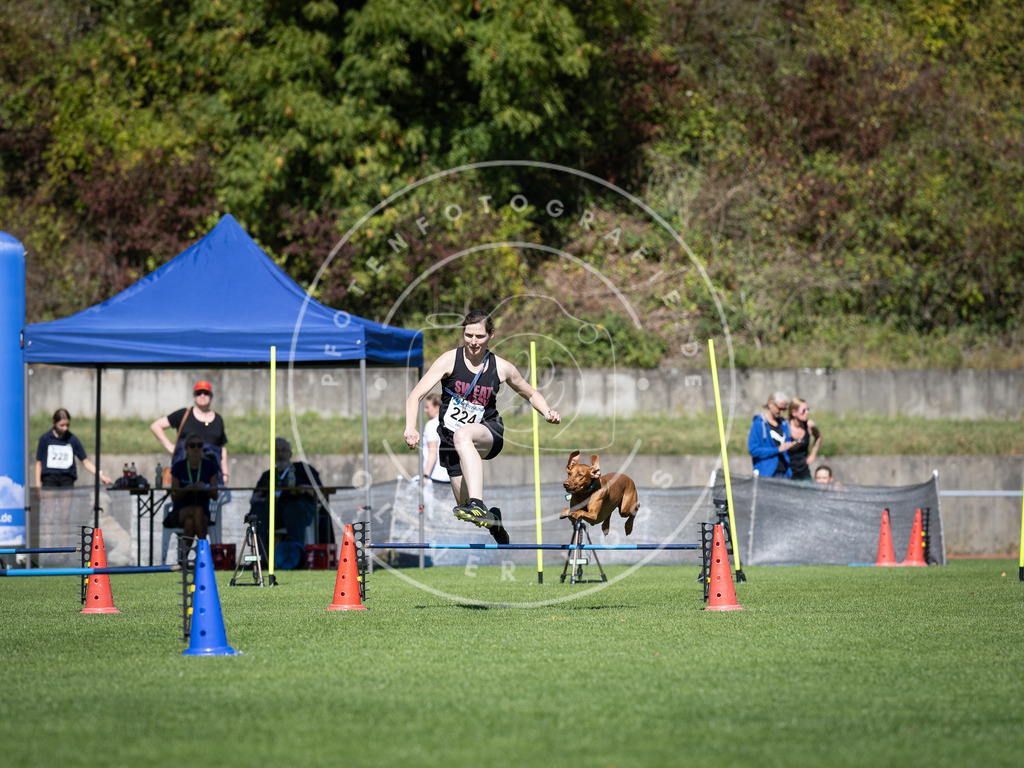 Pfotenfotografie_DV3A5525 | Hundefotografie, Tierfotograf, Pfotenfotografie, Fotoshooting Hund, Hunde Portrait, Hundesport, Hundeportraits, Heideshooting, Hunde, Sportfotograf, Hundefotograf, Turnierhundsport, THS,  - Realisiert mit Pictrs.com